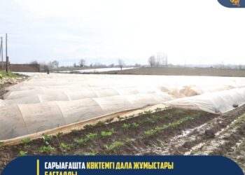 САРЫАҒАШТА КӨКТЕМГІ ДАЛА ЖҰМЫСТАРЫ БАСТАЛДЫ