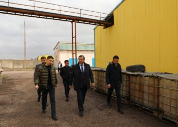 ТҮРКІСТАН: МАҚТААРАЛДА ТӘУЛІГІНЕ 100-150 ТОННА МАЙЛЫ ДАҚЫЛ ӨҢДЕЙТІН ЗАУЫТ ІСКЕ ҚОСЫЛДЫ