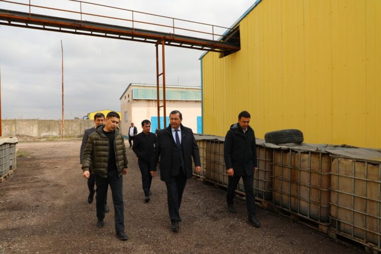 ТҮРКІСТАН: МАҚТААРАЛДА ТӘУЛІГІНЕ 100-150 ТОННА МАЙЛЫ ДАҚЫЛ ӨҢДЕЙТІН ЗАУЫТ ІСКЕ ҚОСЫЛДЫ