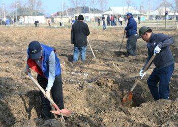 ТҮРКІСТАН: ЖЕТІСАЙДА БІР КҮНДЕ 5 МЫҢ ТҮП КӨШЕТ ОТЫРҒЫЗЫЛДЫ