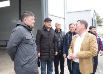 ШАРДАРА: ӨНДІРІСТІК ПАРК АУМАҒЫНДА ЖУЫРДА 6 ЦЕХ АШЫЛАДЫ