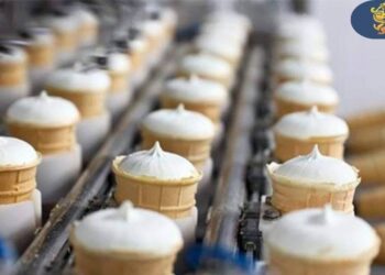 САУРАН АУДАНЫНДА БАЛМҰЗДАҚ ӨНДІРЕТІН ЗАУЫТ САЛЫНАДЫ