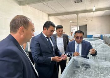 ТҮРКІСТАН: САЙРАМ АУДАНЫНДА ПЭТ ПЛАТФОРМАЛАРЫН ӨНДІРЕТІН ЗАУЫТ ІСКЕ ҚОСЫЛДЫ