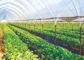 ЕЛІМІЗДЕГІ ЖЫЛЫЖАЙЛАРДЫҢ 72 ПАЙЫЗЫ ТҮРКІСТАН ОБЛЫСЫНЫҢ ЕНШІСІНДЕ